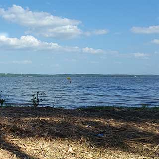 Land Clearing Example 003