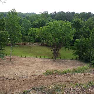 Land Clearing Example 002