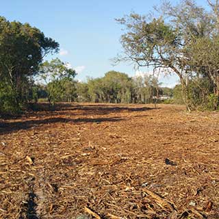 Land Clearing Example 001
